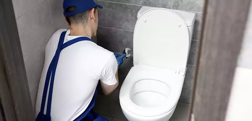 Toilet Lid Replacement in Levittown
